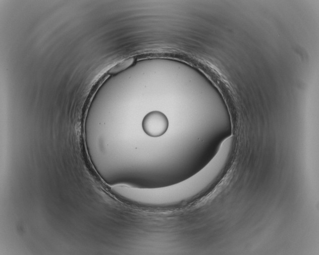 X0000114581073200911091231