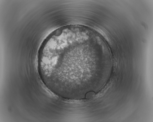 X0000114581076200911091231