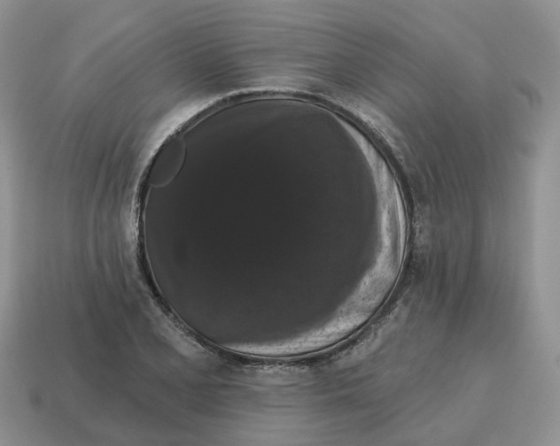 X0000114581077200911091231