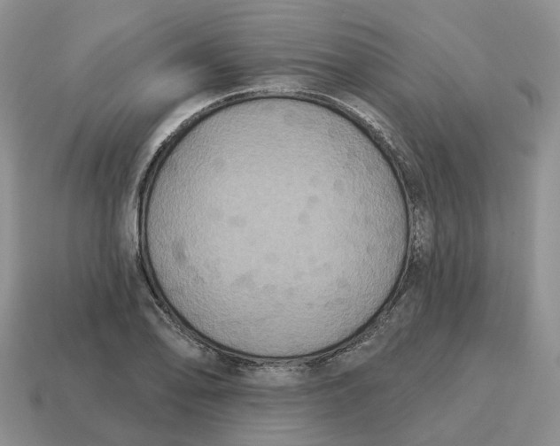 X0000114581078200911091231