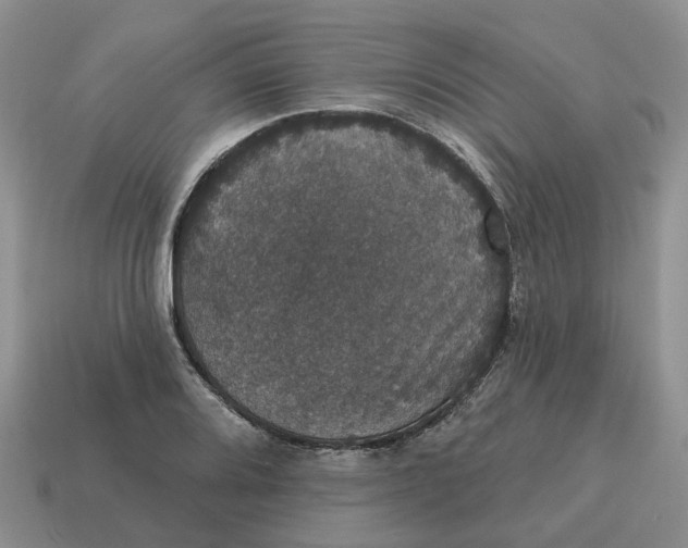 X0000114581080200911091231