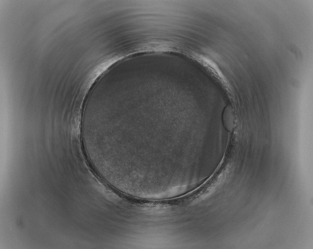 X0000114581081200911091231