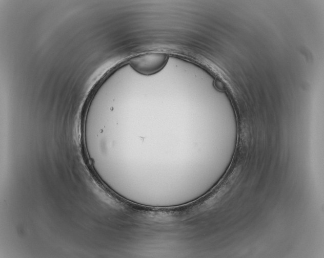 X0000114581082200911091231