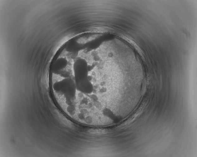 X0000114581083200911091231