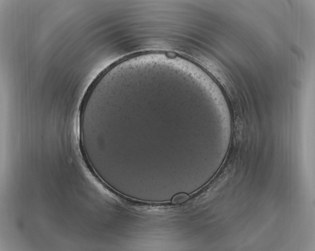 X0000114581084200911091231