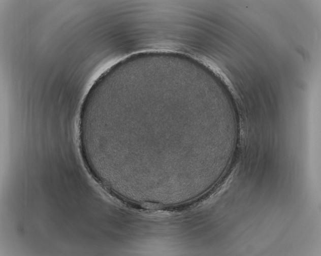 X0000114581085200911091231