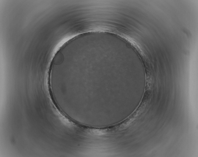 X0000114581086200911091231