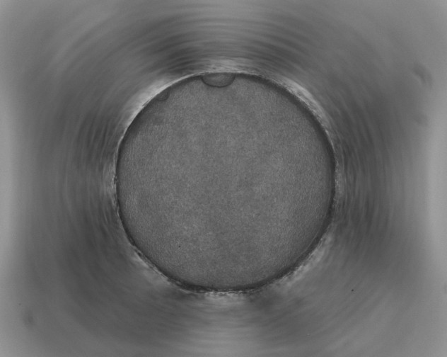 X0000114581089200911091231