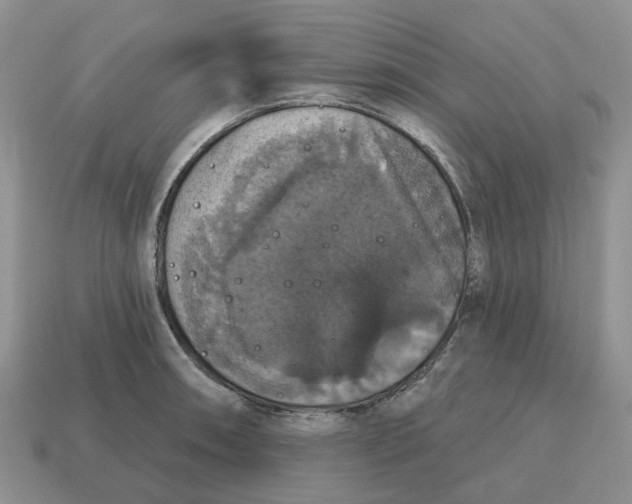 X0000114581090200911091231