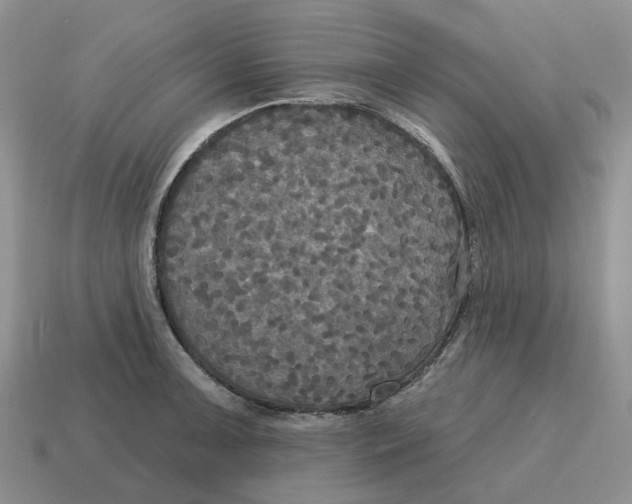 X0000114581091200911091231