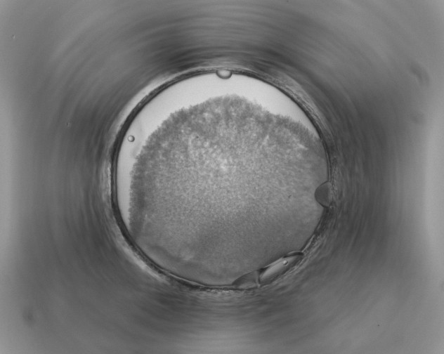 X0000114581092200911091231