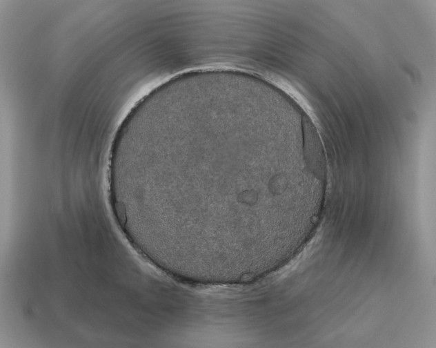 X0000114581093200911091231