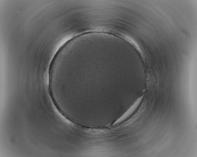 X0000114581095200911091231