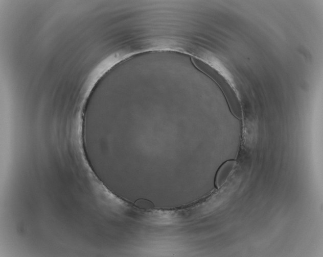 X0000114581096200911091231