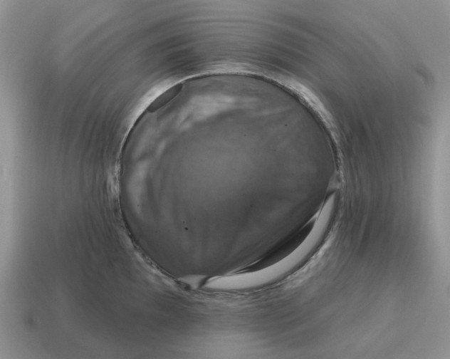 X0000114581097200911091231