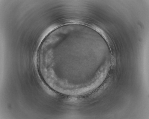 X0000114581098200911091231