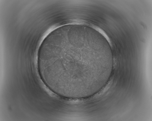 X0000114581099200911091231