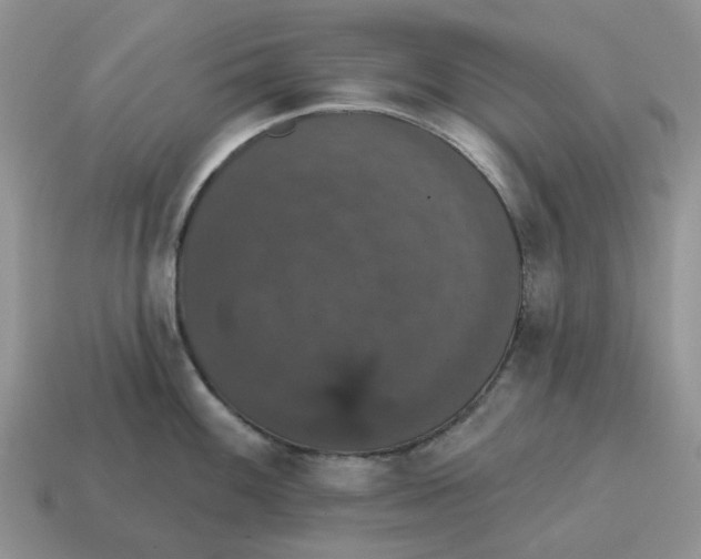 X0000114581100200911091231