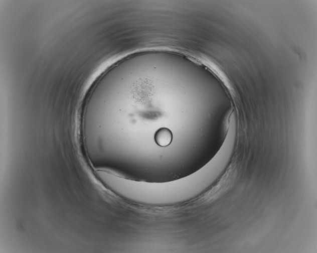 X0000114581101200911091231