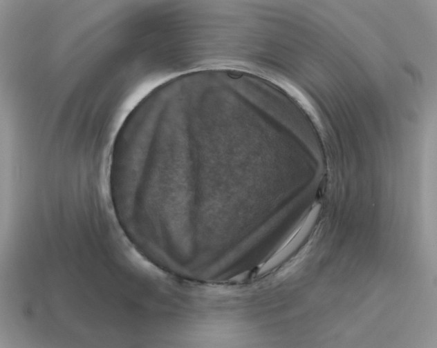 X0000114581102200911091231