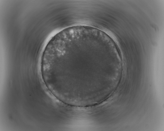 X0000114581104200911091231