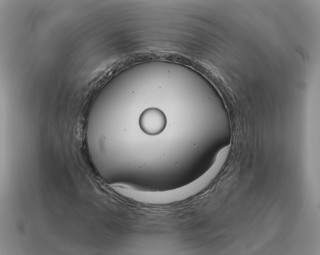 X0000114581110200911091230