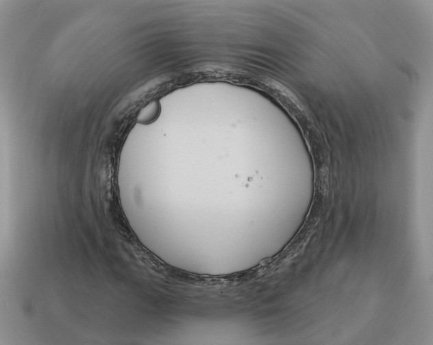 X0000114581111200911091230