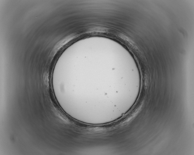 X0000114581113200911091230