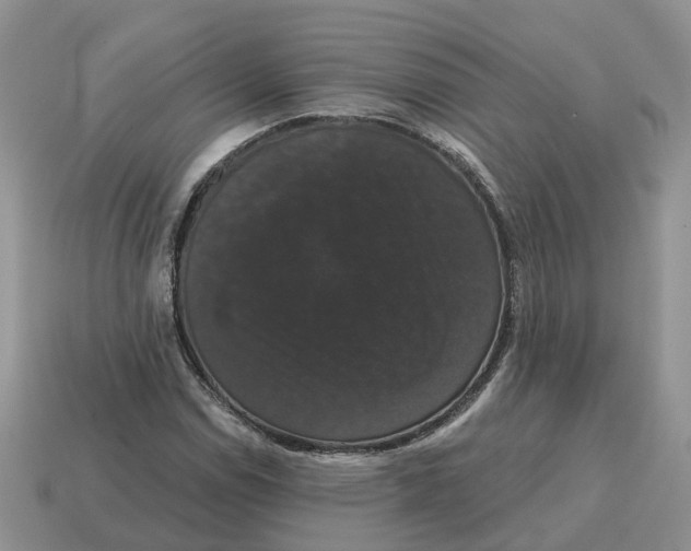 X0000114581114200911091230