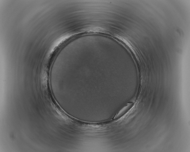 X0000114581115200911091230