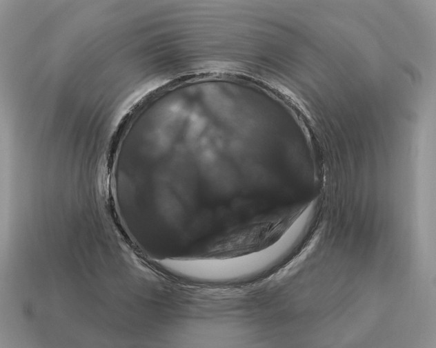 X0000114581117200911091230