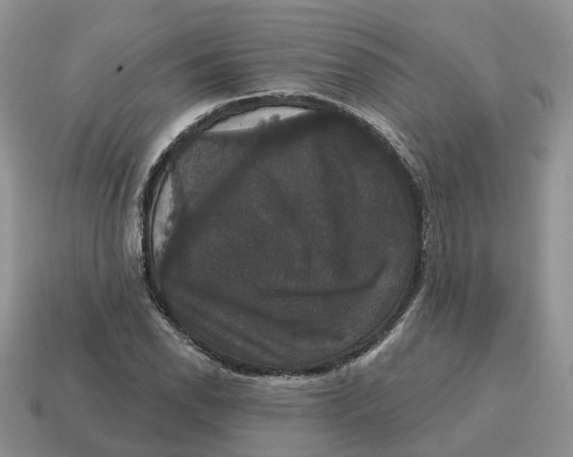 X0000114581118200911091230