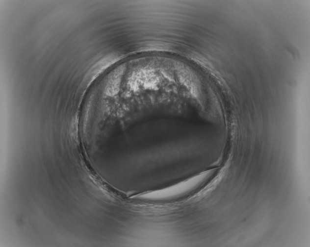 X0000114581121200911091230