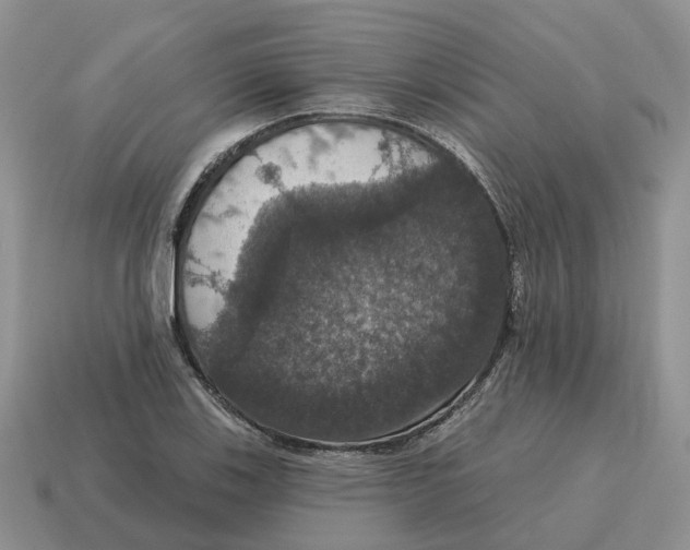 X0000114581123200911091230