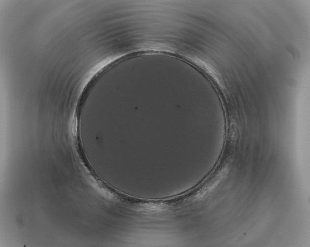 X0000114581125200911091230