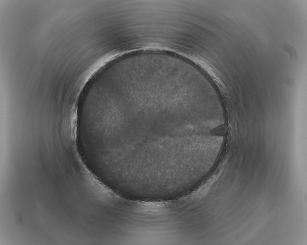 X0000114581126200911091230