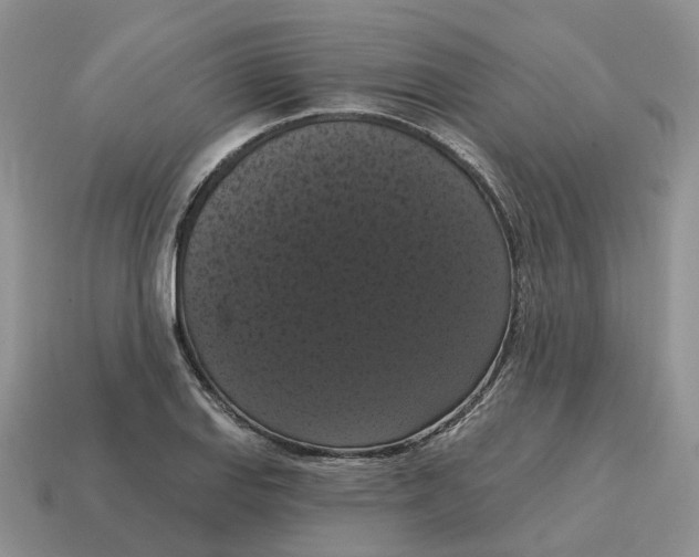 X0000114581127200911091230