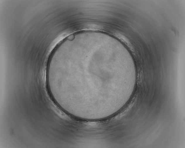 X0000114581130200911091230