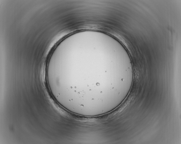 X0000114581131200911091230