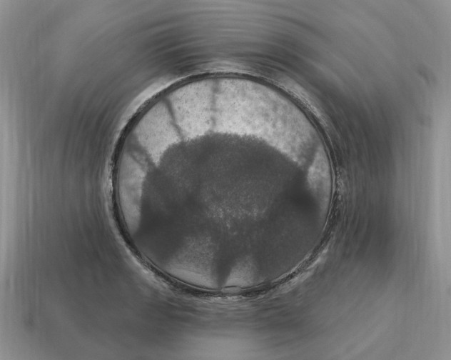 X0000114581133200911091230