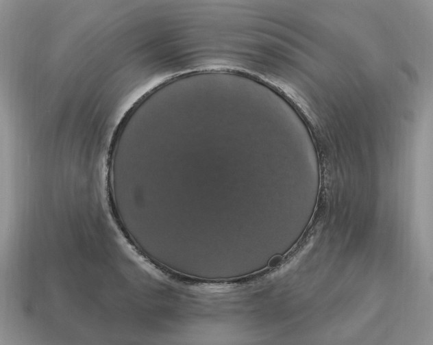 X0000114581134200911091230