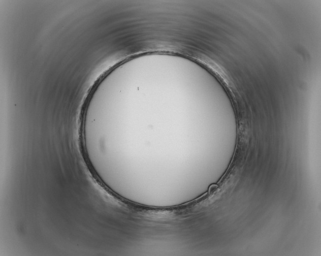 X0000114581135200911091230