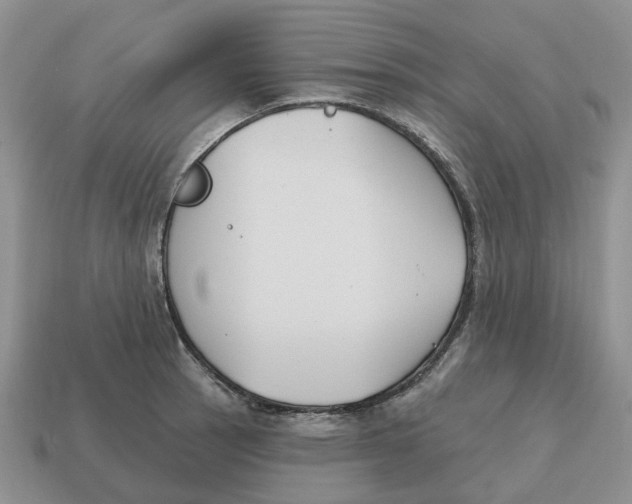 X0000114581137200911091230