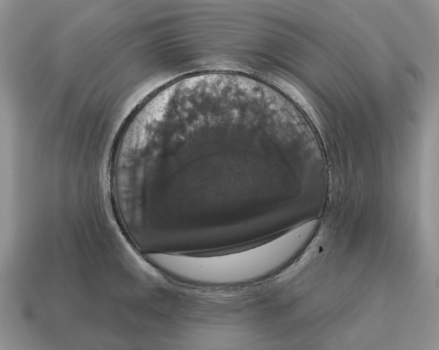 X0000114581141200911091230