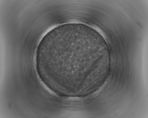 X0000114581142200911091230