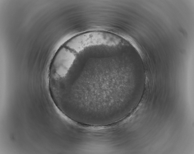 X0000114581143200911091230