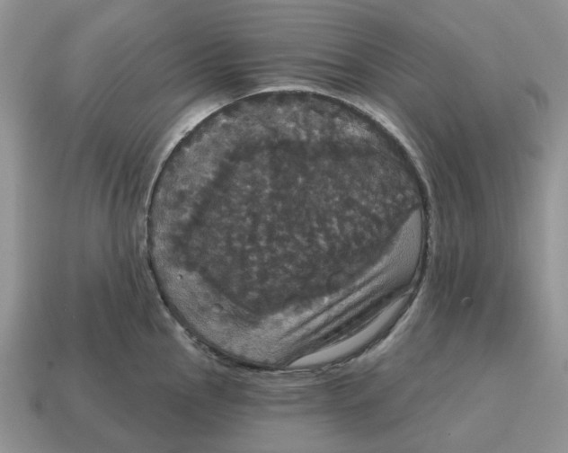 X0000114581145200911091230