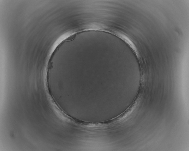 X0000114581146200911091230