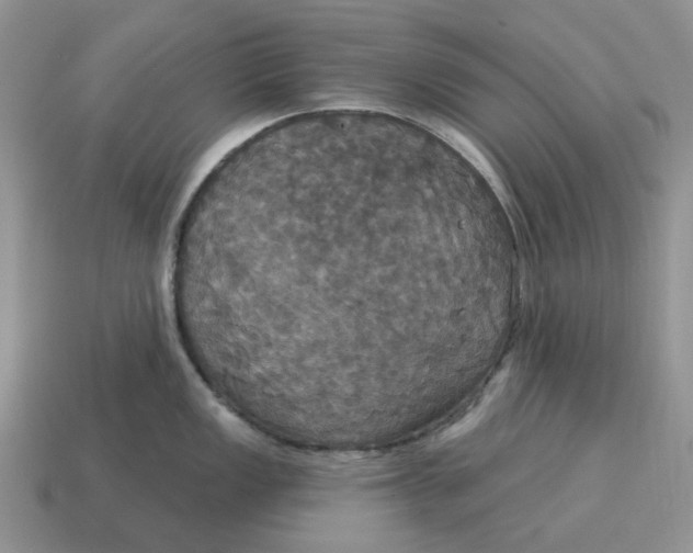 X0000114581149200911091231