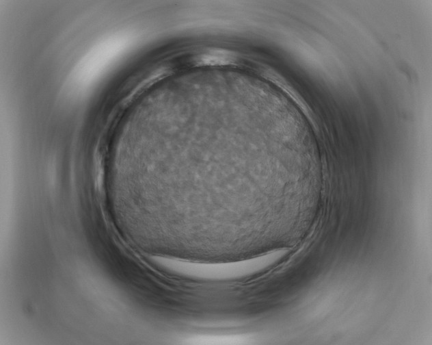 X0000114581151200911091231